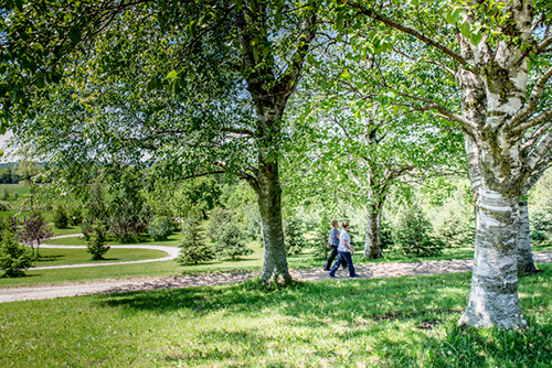 Hospital Fit Trail